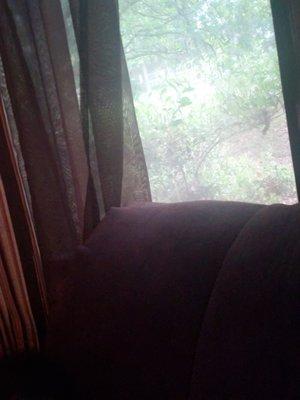 photo of Lashandria A.