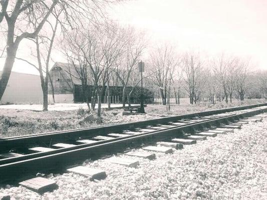 Photo of Stephanie W.