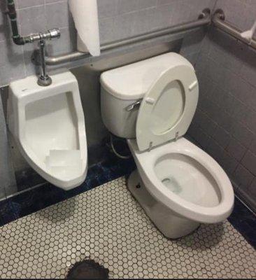 photo of LavatoryReviews