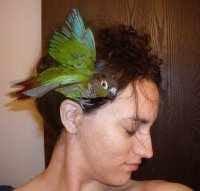 Photo of Kerry M.