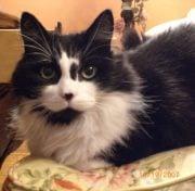 photo of Kitty K.