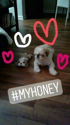 Photo of Minjee S.