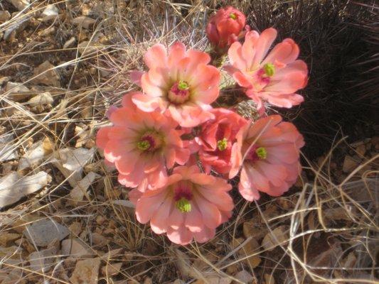 photo of Jean-Claude L.