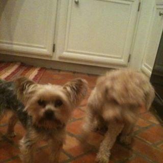 photo of Georgina G.