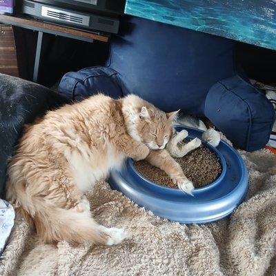 photo of Elizabeth W.