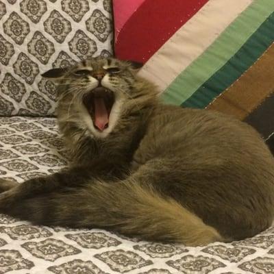 photo of Elizabeth G.