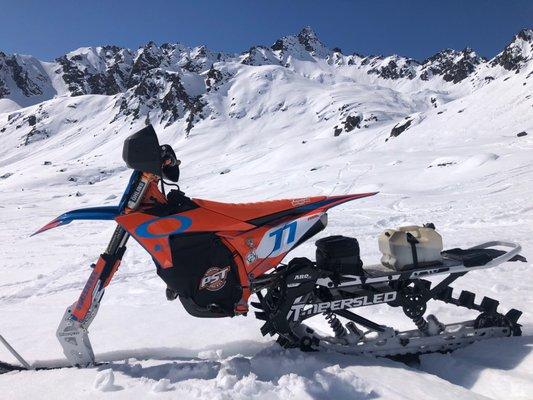 Photo of Squirrel M.