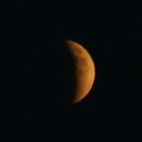 Photo of Patricia O.