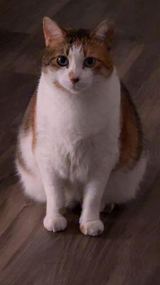 photo of Anjeline R.