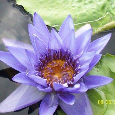 photo of Kristine B.