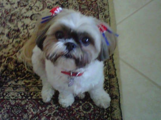 Photo of Sophie Jo B.