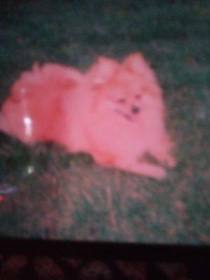 Photo of Bobbie Olaker K.