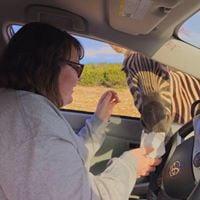 Photo of AnnaMarijka T.