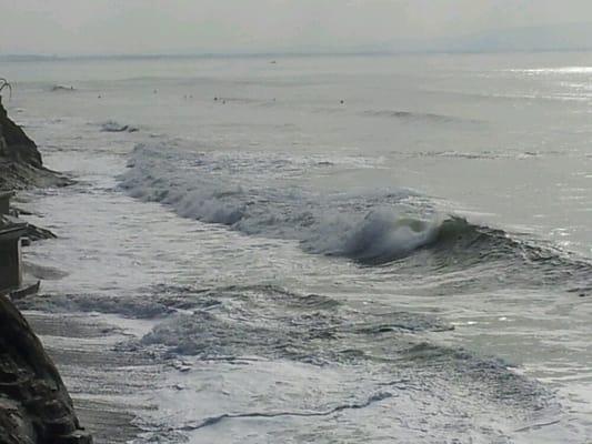 Photo of M S.