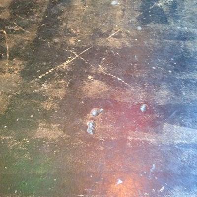 photo of Adventure E.