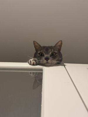 photo of Elizabeth T.