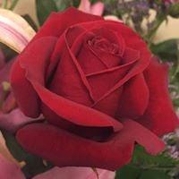 photo of Ana Lili D.