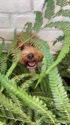 photo of PropertyByDesign H.