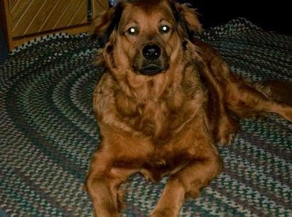 photo of Charlene J.