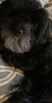 photo of Kristina K.