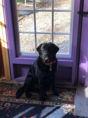 photo of Clarissa G.