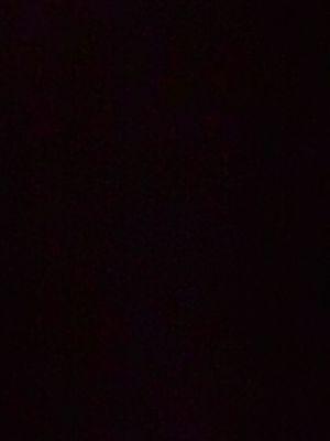 photo of Nicholas T.