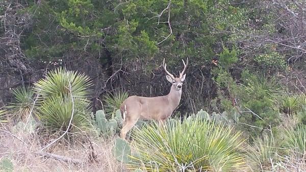 Photo of Elisabeth P.