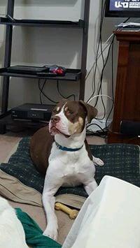 photo of Stephanie P.