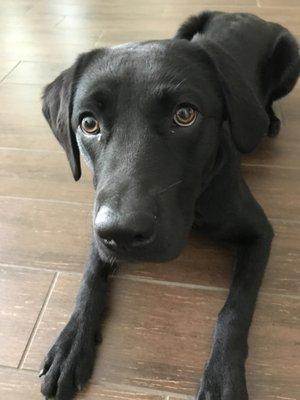 photo of Samantha O.