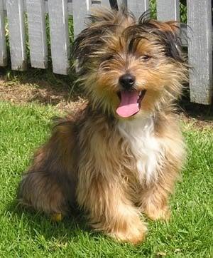 photo of Christopher L.