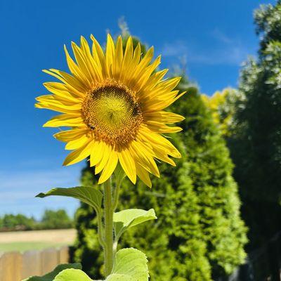 photo of DebbieandBob B.