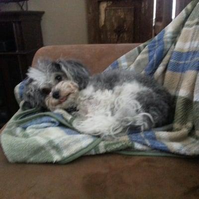 Photo of Tiny T.