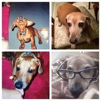 Photo of Emily-Ann C.