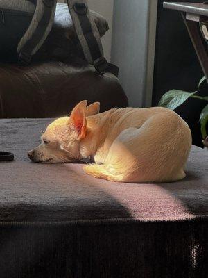 photo of Samantha D.