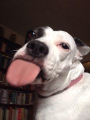 photo of Christina M.