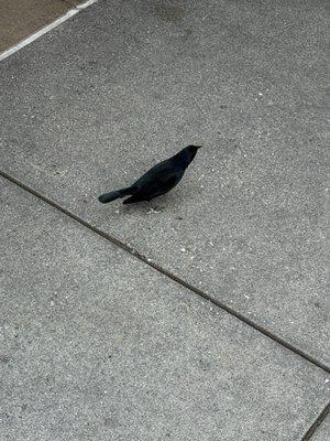 photo of Isabelle B.