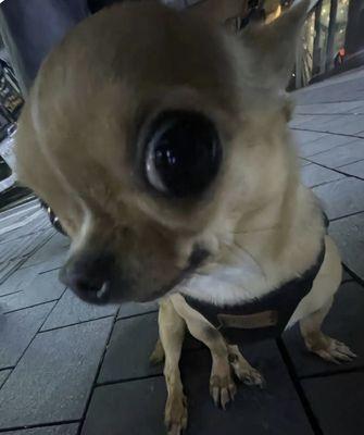 photo of Charlotte K.