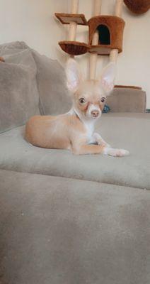 photo of Katreene M.