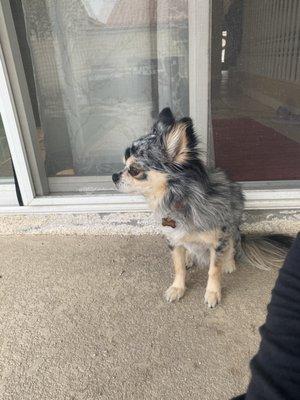 Photo of Cristina R.