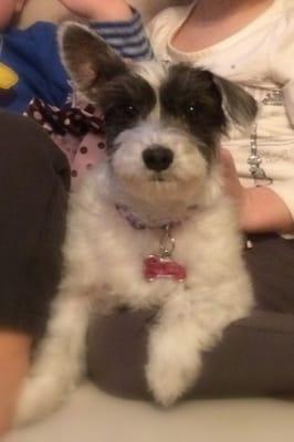 photo of Christina R.