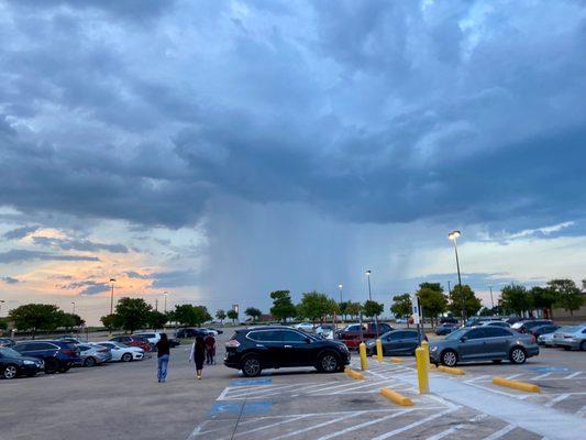 Photo of Yesse Lopez L.