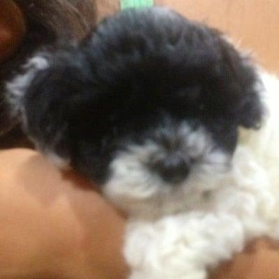 photo of Michelle Q.