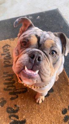 photo of Michelle S.