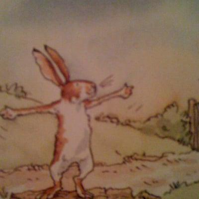 Photo of Danielle L.