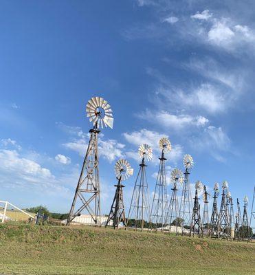 photo of Katherine R.