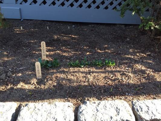 photo of Nicholas Z.