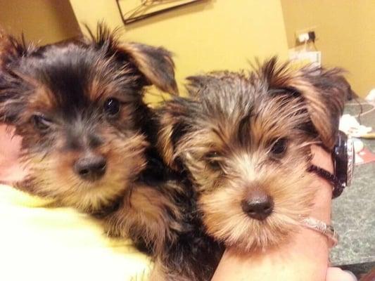 photo of Gabriela L.