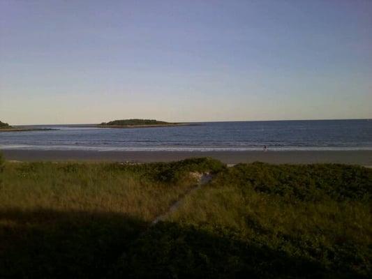 photo of Shauneen K.