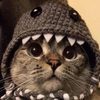 photo of Catherin B.