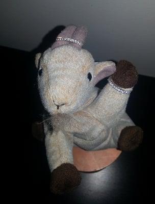 Photo of Sam A Goat I.